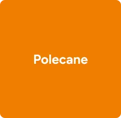Polecane